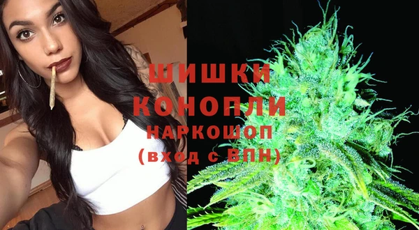 гидропоника Балабаново