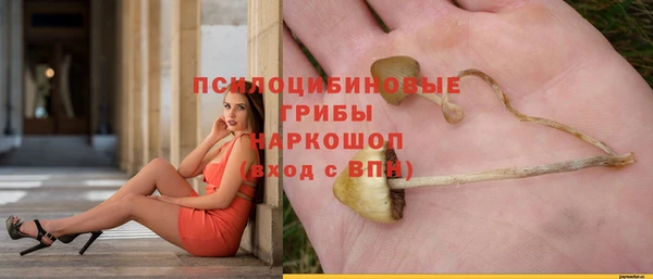 сатива Балахна