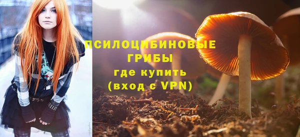 сатива Балахна
