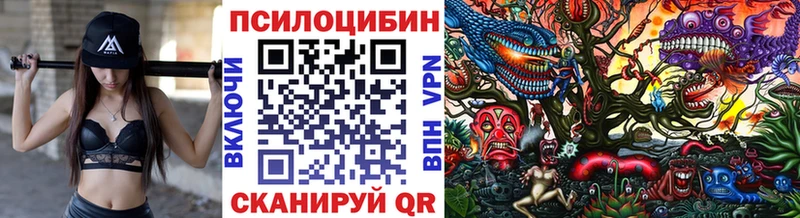 Галлюциногенные грибы мицелий  Терек 